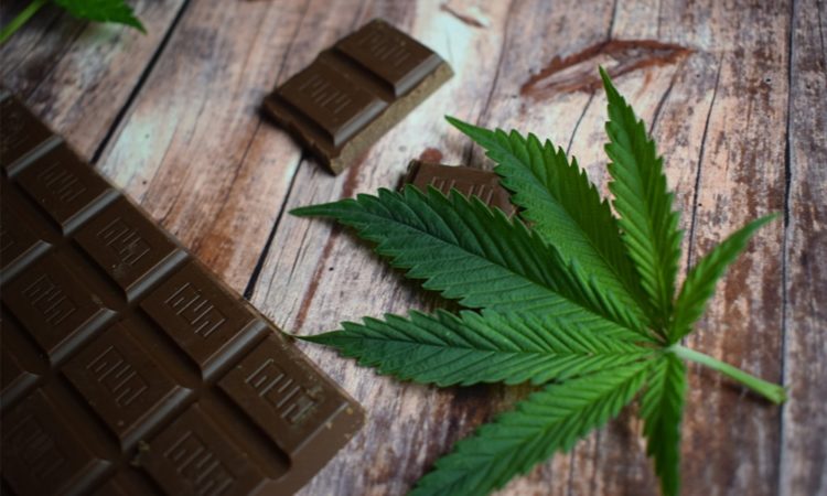 cannabis infused chocolate