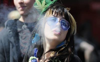 Cannabis Culture Revolution or Evolution?