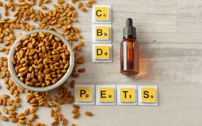 CBD Oil For Pets: What’s the Benefit?