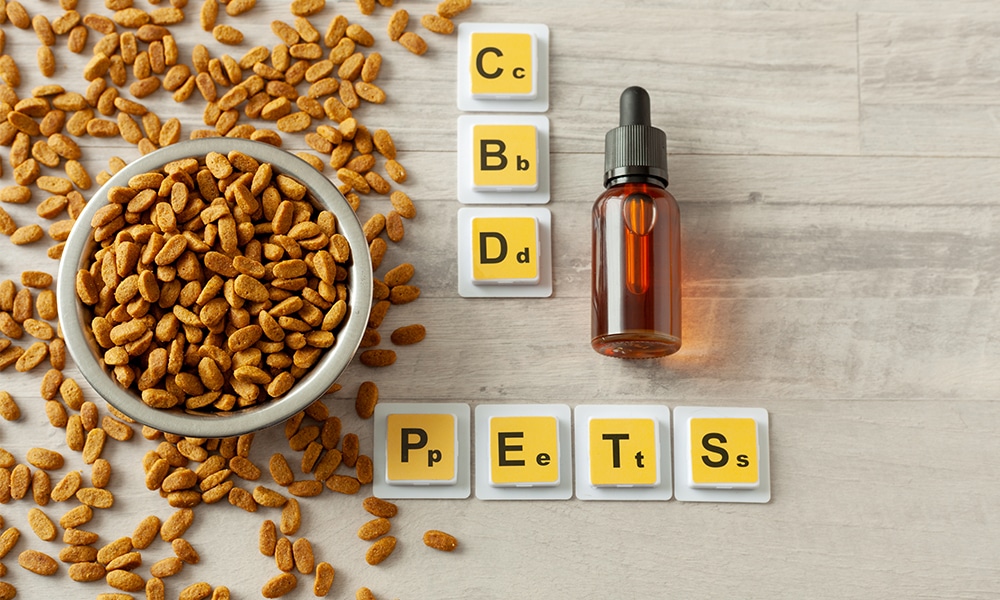 CBD Oil For Pets: What’s the Benefit?