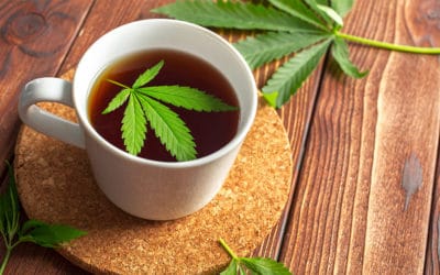 Cannabis Drink Innovations