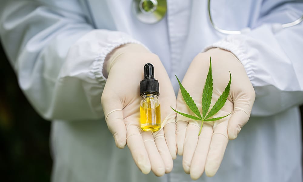 research cannabis