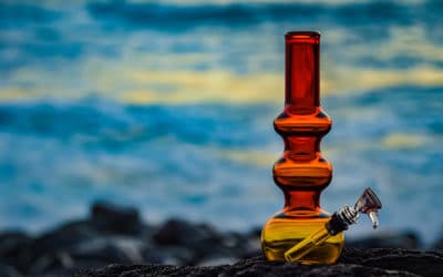 Best Bongs For Smoking Excellent Bud