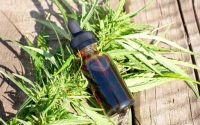 CBN Tincture Uses And Benefits