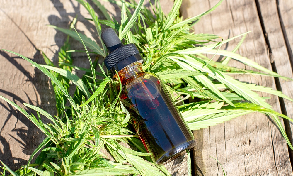 CBN Tincture Uses And Benefits