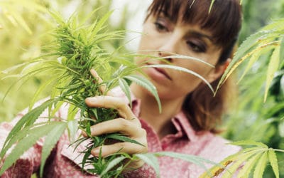Women In Cannabis And Their Impact