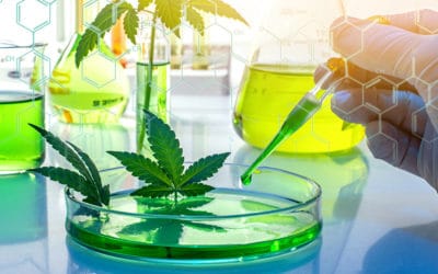Cannabinoid Research And Development Latest Findings